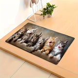 1 alfombra rectangular suave de tejido de poliéster con respaldo antideslizante, lavable a máquina y de pelo bajo - Diseño divertido de gatos para cocina, sala, dormitorio, baño u oficina - Decoración hogareña cómoda y fresca, alfombras de cocina antides