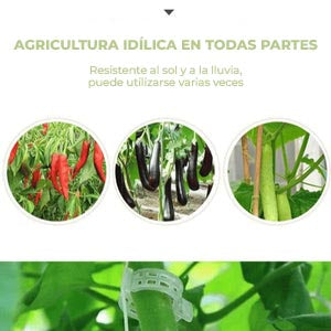 GrowGuard™ - 100 Unidades Clips de soporte para plantas