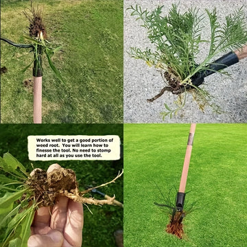 Herramienta de arrancador manual de acero inoxidable - Mango ergonómico, púas ajustables para la extracción de raíces profundas, herramienta de arrancador duradera para el hogar y el uso profesional, herramienta de arrancador, jardinería profesional, aca