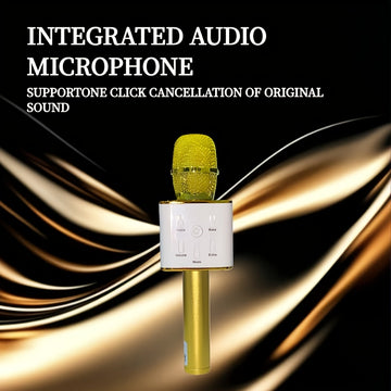Microfono Portátil para Karaoke - sin varillas, Carga Tipo-C, Mejora de Bajos, Ideal para Fiestas, Reuniones Familiares y Regalos de Cumpleaños [4 Escenarios]
