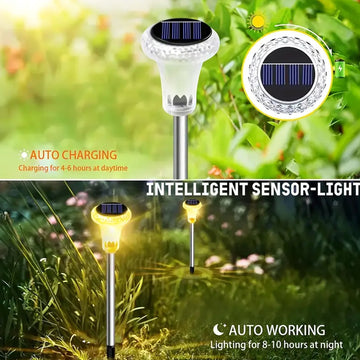 Dos, cuatro o seis luces solares para jardín al aire libre, lámparas LED de acero inoxidable, compactas y prácticas, base de lámpara de cristal solar, adecuadas para iluminación de jardines, entradas y patios.