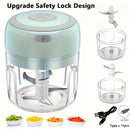 Picadora de ajo eléctrica compacta con una capacidad de 100/250 ml, molinillo de carne alimentado por USB y un diseño robusto para picar ajo, jengibre y verduras, ideal para uso en la cocina.