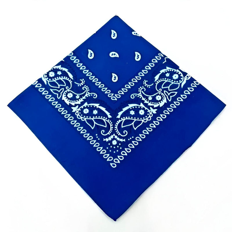 Pañoleta Bandana Estampada x12 3426-1