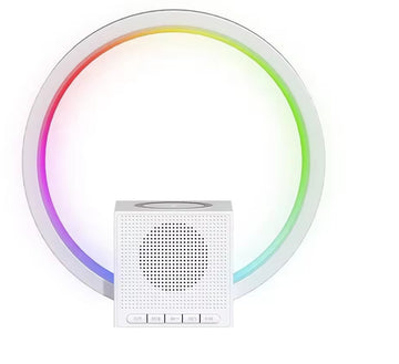 Parlante Recargable Con Lampara Led y Cargador Inalambrico BT 258