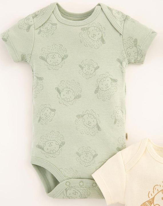 Body Cometa X5 718927 Baby Fresh