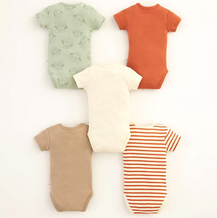 Body Cometa X5 718927 Baby Fresh