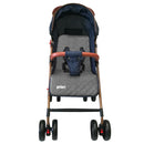 COCHE PARK PRIORI