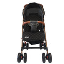 COCHE PARK PRIORI