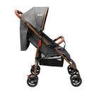 COCHE PARK PRIORI