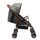 COCHE PARK PRIORI