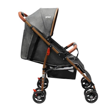 COCHE PARK PRIORI