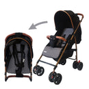 COCHE PARK PRIORI
