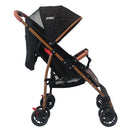 COCHE PARK PRIORI