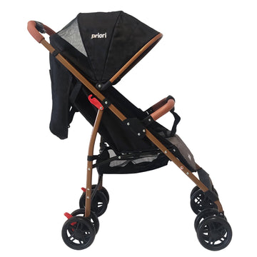 COCHE PARK PRIORI