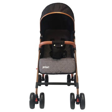 COCHE PARK PRIORI