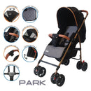 COCHE PARK PRIORI
