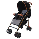 COCHE PARK PRIORI