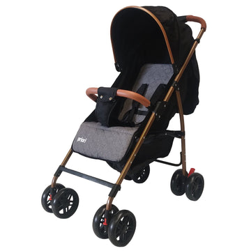 COCHE PARK PRIORI