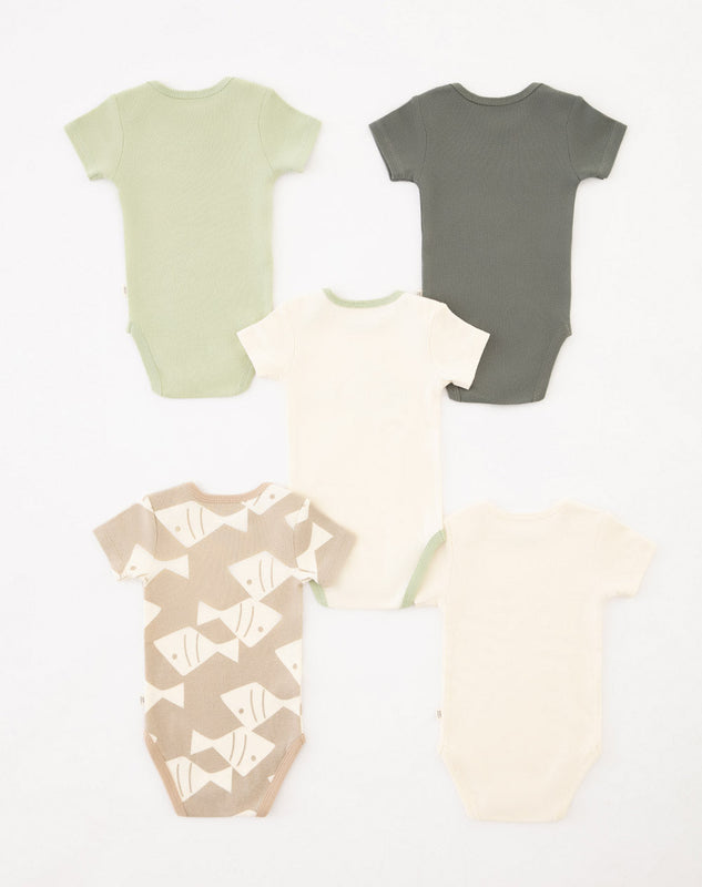 Body Cometa X5 718927 Baby Fresh