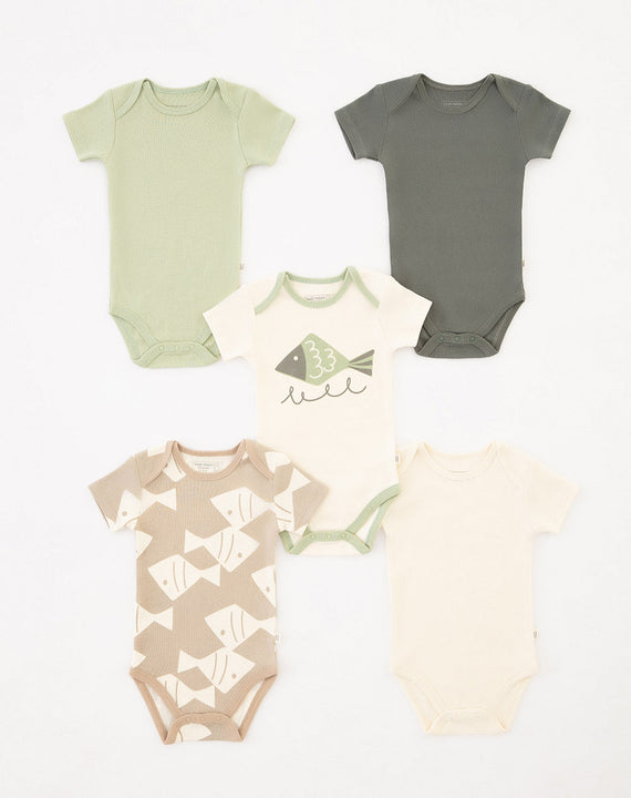 Body Cometa X5 718927 Baby Fresh