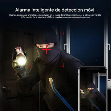 Camara De Seguridad Wifi Para Interior Q1