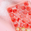 MOLDE PARA CUBITOS DE HIELO X2
