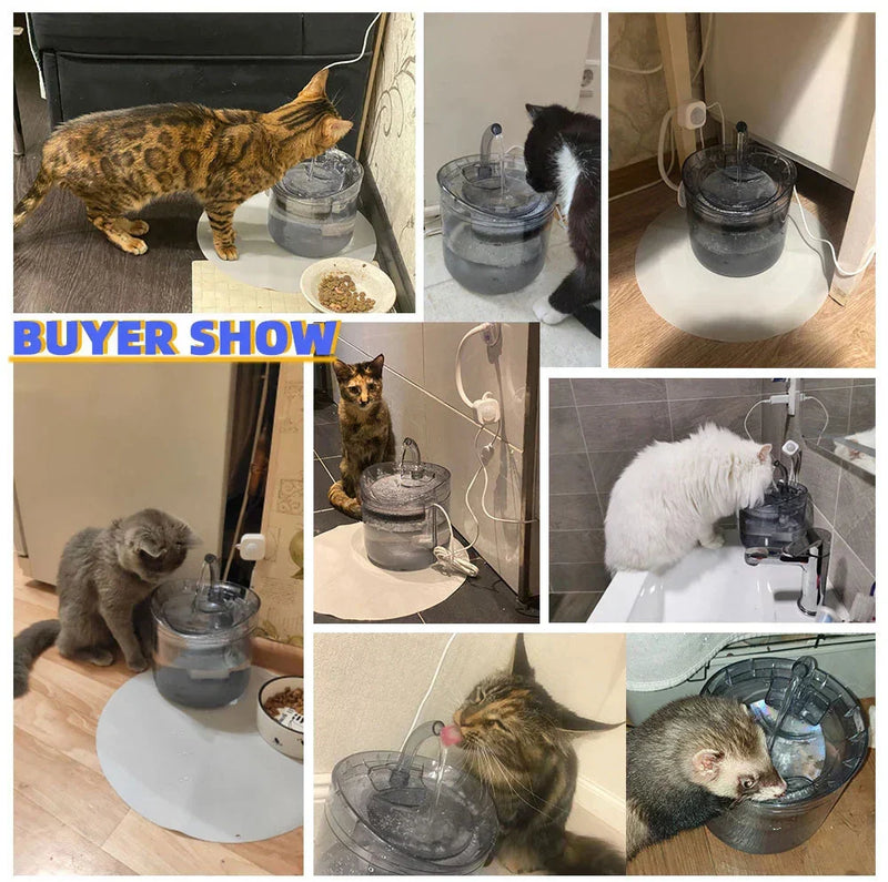 Fuente De Agua Para Mascotas Gatos Silencioso Automatico vidrio
