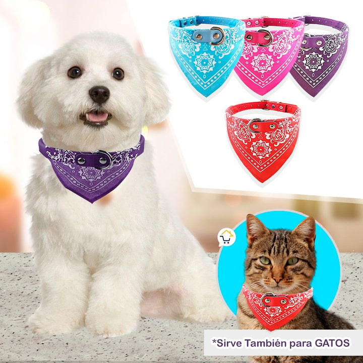 Collar Pañoleta Pequeña Perros Correa Bandana Mascotas 4269-60