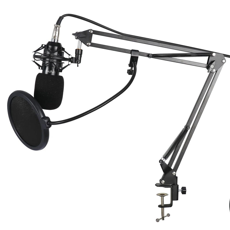 Micrófono Condensador Profesional Brazo Tijera BM800