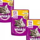 Arena Sanitaria Premium Importada + 3 Wishkas+ Pala
