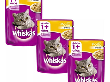 Arena Sanitaria Premium Importada + 3 Wishkas+ Pala