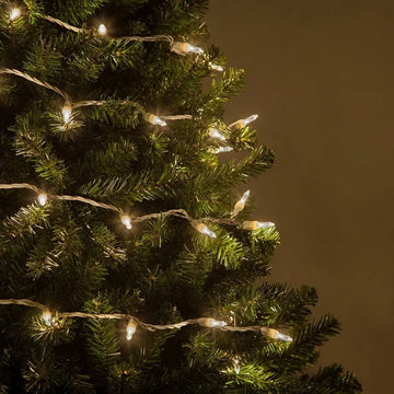Extensión 50 Luces Navideñas Led Wintergreen Lighting
