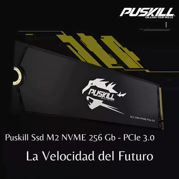 Hd Ssd M.2 2280 PUSKILL 256 GB NVMe PCIe 3.0x4 PSK-M2SSDP34-256g