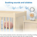 Monitor Vtech Audio Canciones De Cuna Y Lampara Portatil