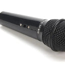 Microfono Condensador Profesional Con Tripode Sf-910 Color Negro