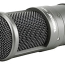 Microfono Para Grabacion Estudio Electro Takstar Sm-8b Color Gris