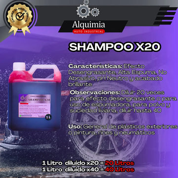 1 L De Apc X20 Para Carros + 1 L Shampoo X20 Ph Neutro