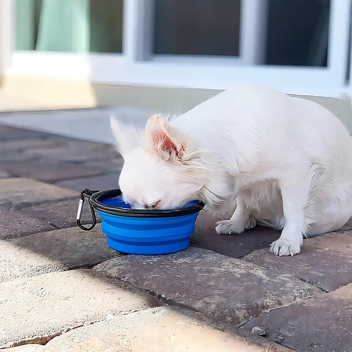 Plato De Goma Plegable Portátil De Mascotas Perro Y Gato Color Azul