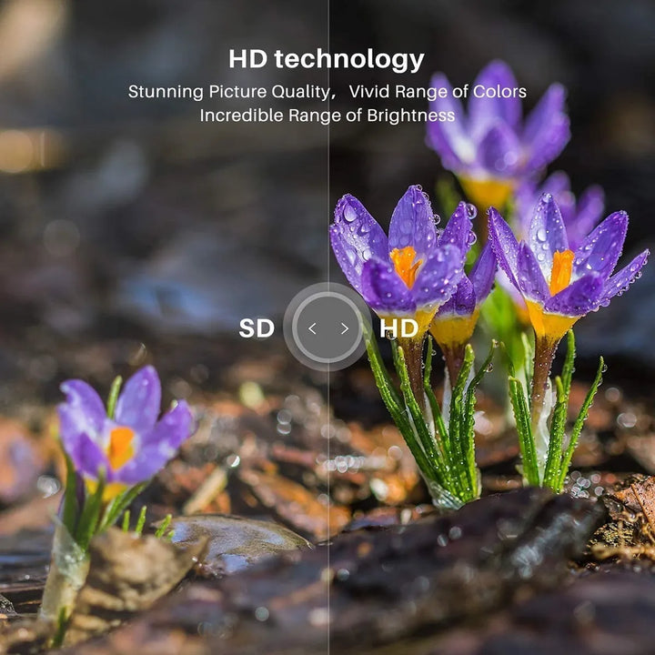 Sansui Es24z1, Televisor Led Hd De 24 Pulgadas (720p) Con Hd