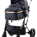 Coche Bebé Moises Plegable Ebaby Color Gris Oscuro Chasis Dorado