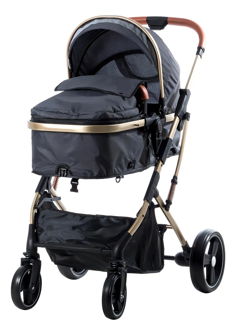 Coche Bebé Moises Plegable Ebaby Color Gris Oscuro Chasis Dorado