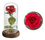 Rosa Eterna Roja Luz Led Alumbra Regalo Detalles Mujer Rojo