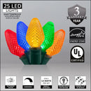 Extensión 25 Luces Navideñas Led Wintergreen Lighting 8