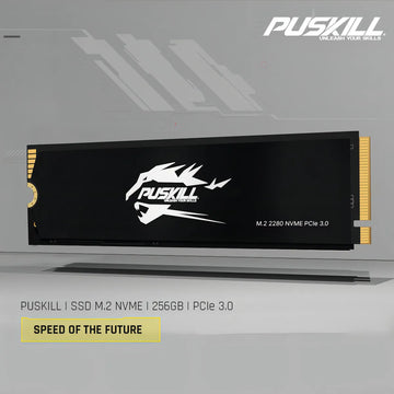 Hd Ssd M.2 2280 PUSKILL 256 GB NVMe PCIe 3.0x4 PSK-M2SSDP34-256g