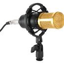 Micrófono de condensador profesional Studio 20hz-20khz de 3,5 mm