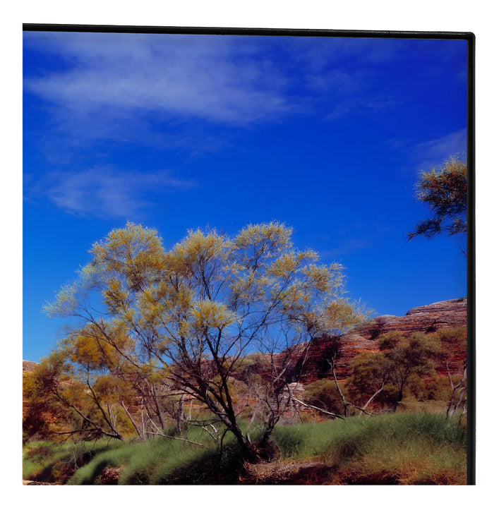 Televisor 43 Pulgadas Smart Google Tv Tg81 Challenger