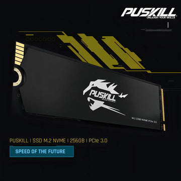 Hd Ssd M.2 2280 PUSKILL 256 GB NVMe PCIe 3.0x4 PSK-M2SSDP34-256g