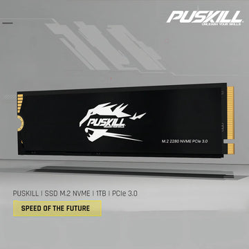interno Puskill Puskill SSD PSK-M2SSDP34-1024G 1TB negro