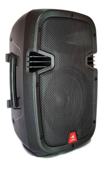 Parlante American Sound 8 Pulgadas Profesional+microfono Negro