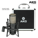 Micrófono AKG P220 Condensador Cardioide color negroS